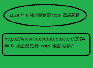 2024 年 6 強企業免費 VoIP 電話服務