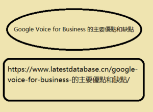 Google Voice for Business 的主要優點和缺點