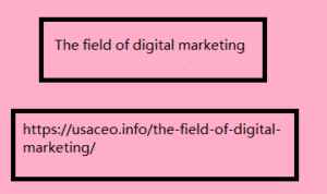 The field of digital marketing