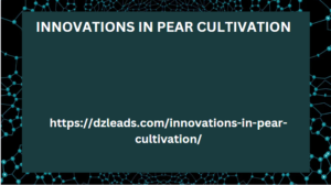 INNOVATIONS IN PEAR CULTIVATION