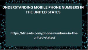 UNDERSTANDING MOBILE PHONE NUMBERS IN THE UNITED STATES