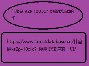 什麼是-a2p-10dlc？你需要知道的一切/