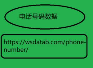 电话号码数据