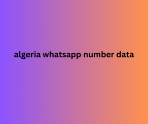 algeria whatsapp number data